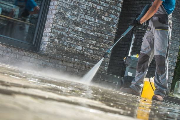 Professional Pressure Washing in Leo Cedarville, IN