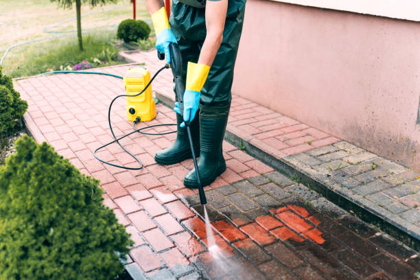 Animal Enclosure Cleaning in Leo Cedarville, IN